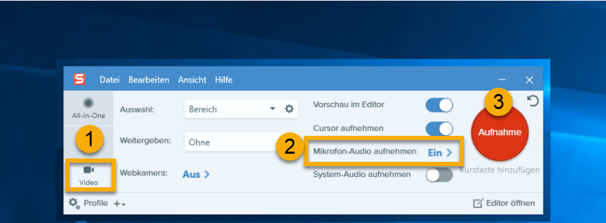 Screenshot Snagit Capture-Fenster.