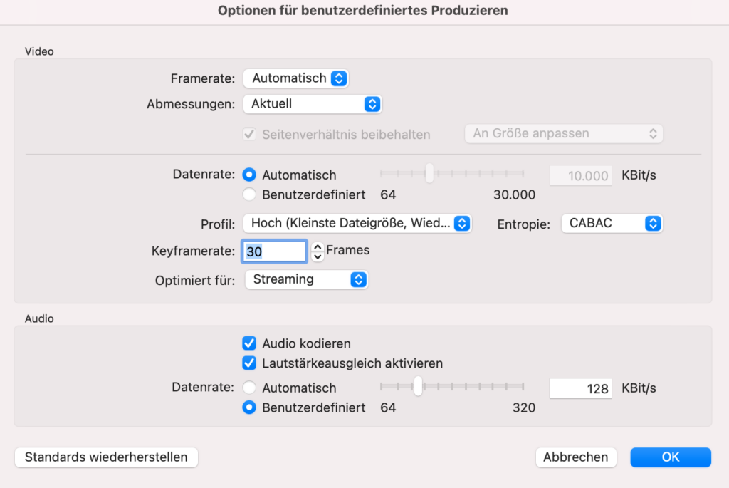 Screenshot Camtasia Optionen für benutzerdefiniertes Produzieren von Videos.