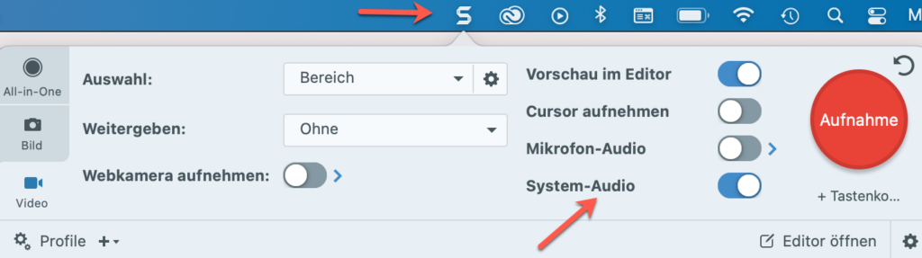 Screenshot Snagit System-Audio aktivieren, um ein Gespräch aufzunehmen