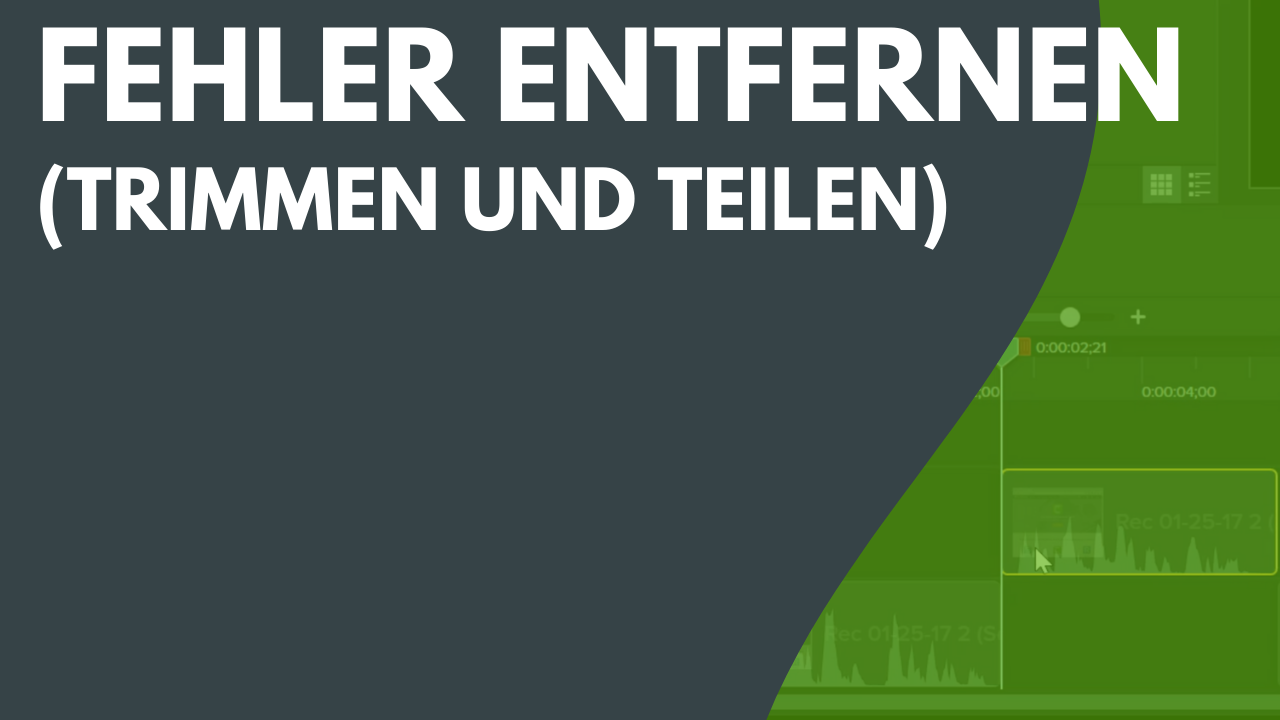 Fehler entfernen (Trimmen und Teilen)