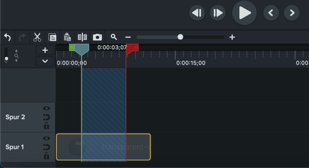 Nutzeroberfläche Camtasia: Video in GIF umwandeln