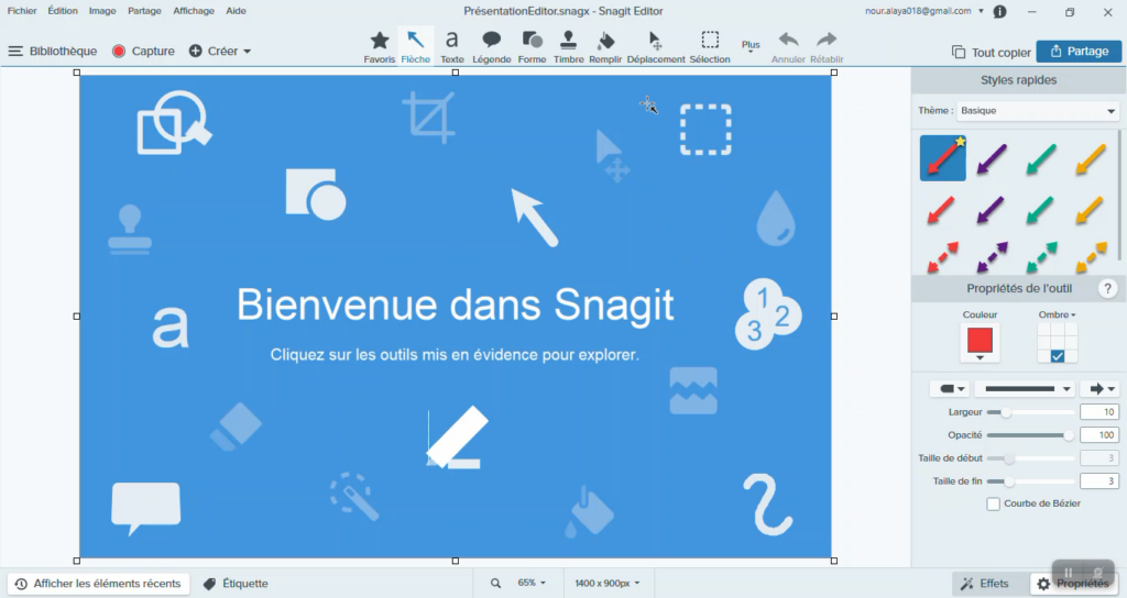 Flouter une image avec Snagit.