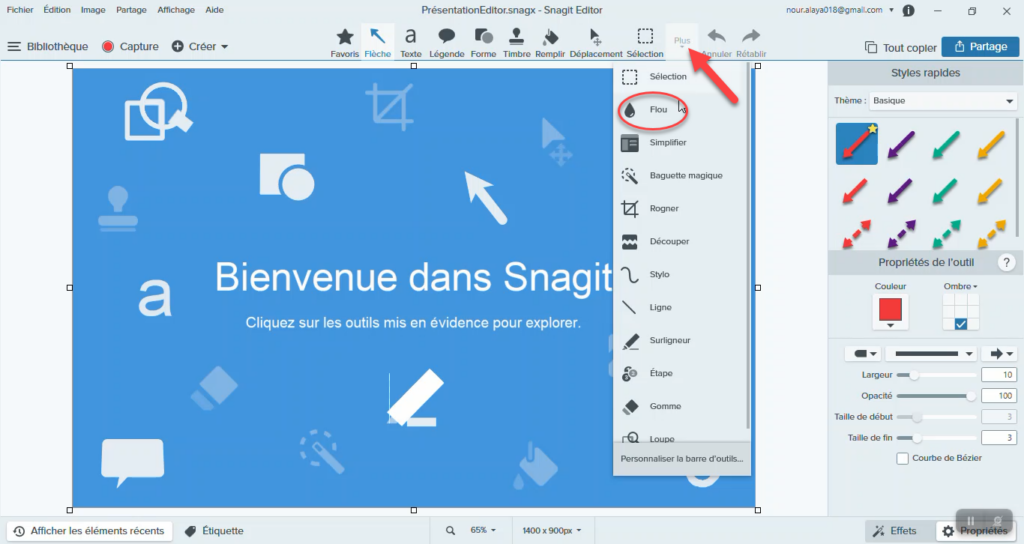 Flouter une image avec Snagit.