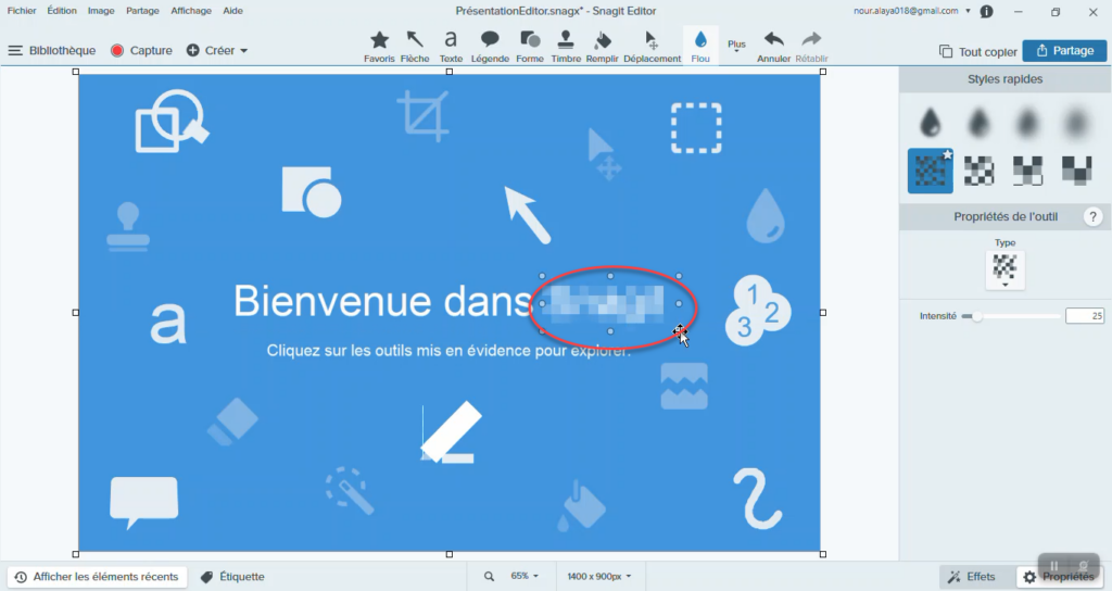 Flouter une image avec Snagit.