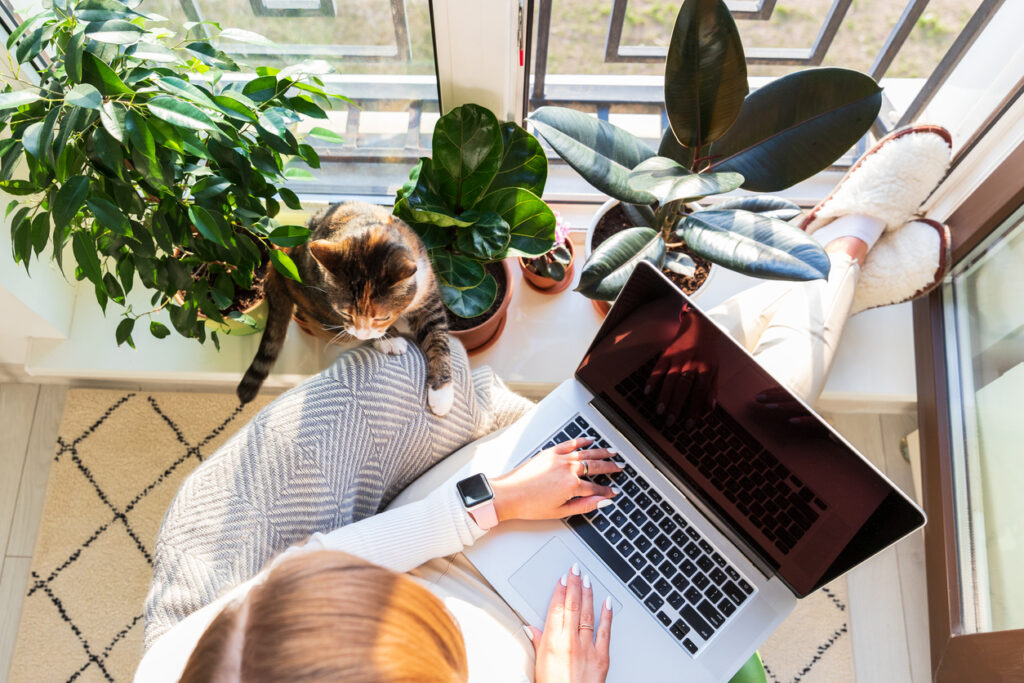 Connaître les avantages et inconvénients du travail hybride vous permettra de savoir ce que vous devez fournir à votre équipe pour mettre en place un système réussi. 