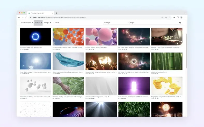 Screenshot of the Stock Asset Library for Camtasia