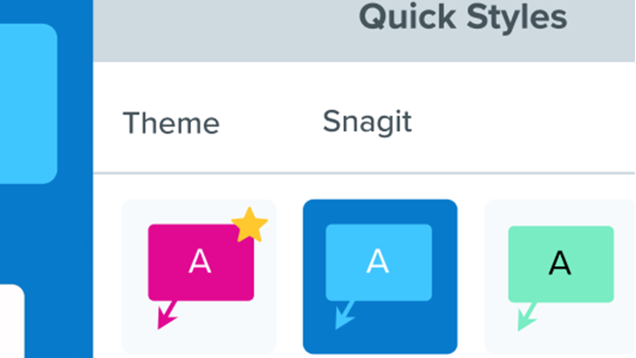 Snagit anpassen