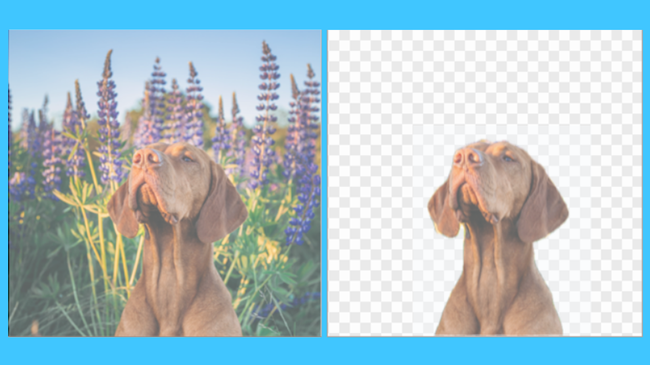 Hintergrund entfernen