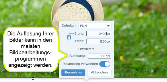 Grundlagen: Pixel, Bilder und Auflösung | TechSmith